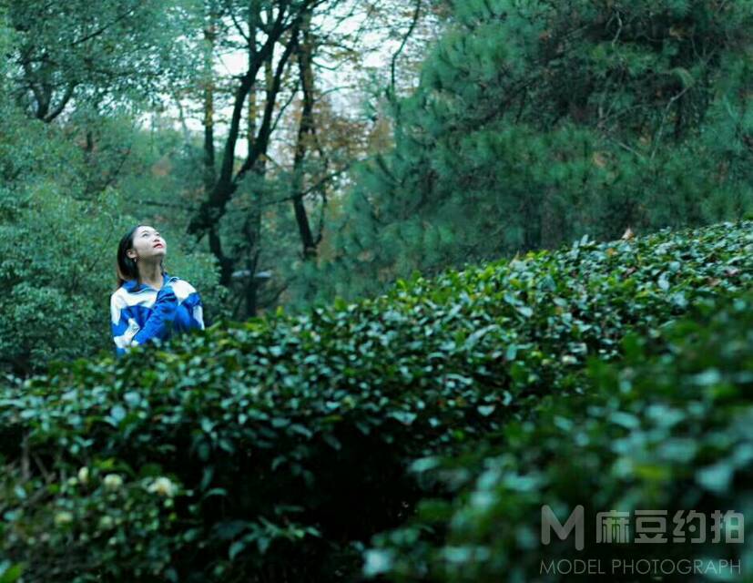 校园模特