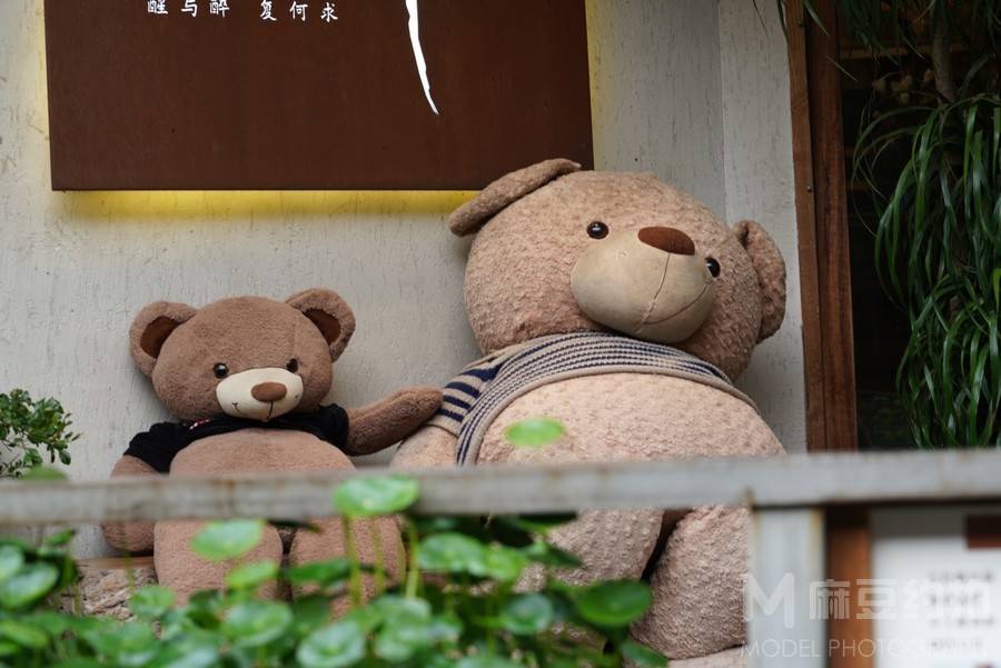 纪实模特