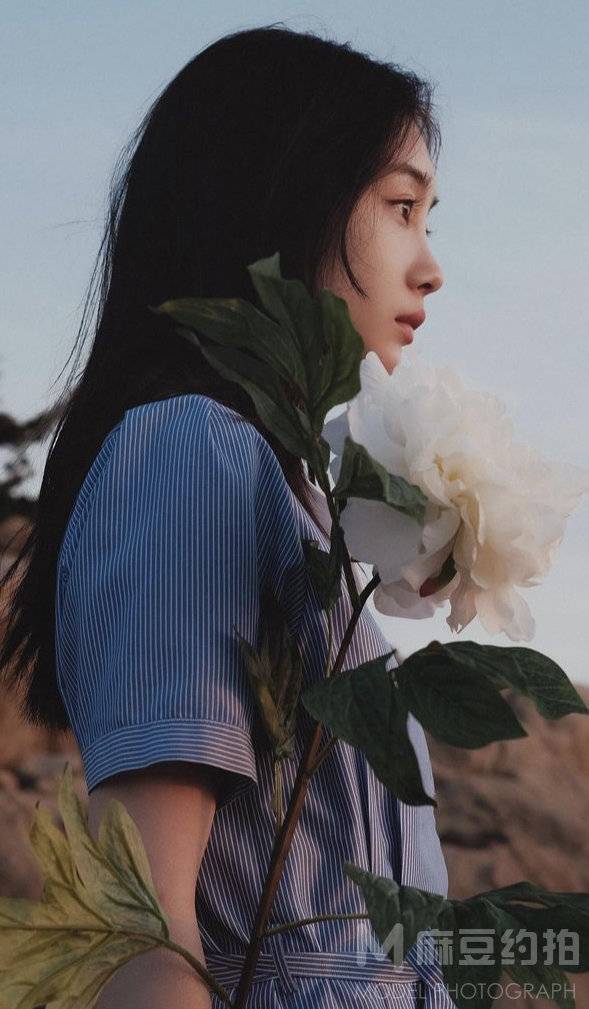 胶片模特