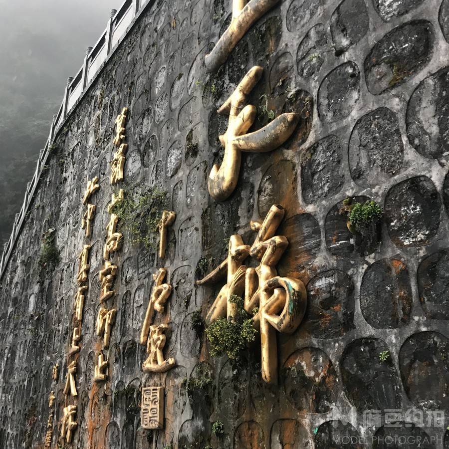纪实模特