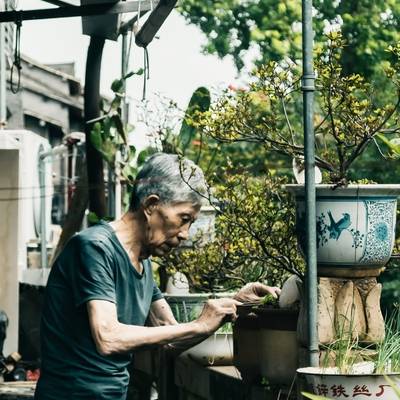 纪实模特