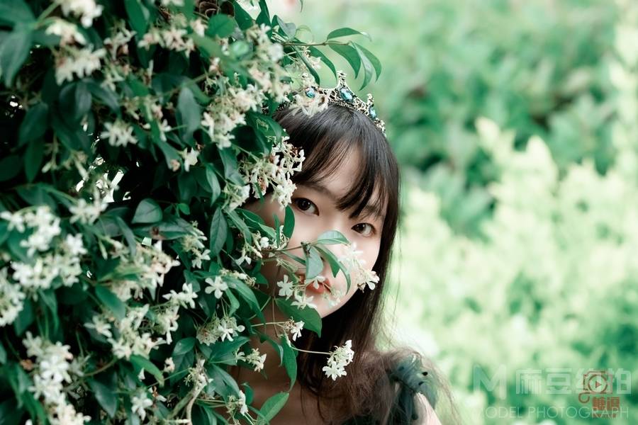 清新模特