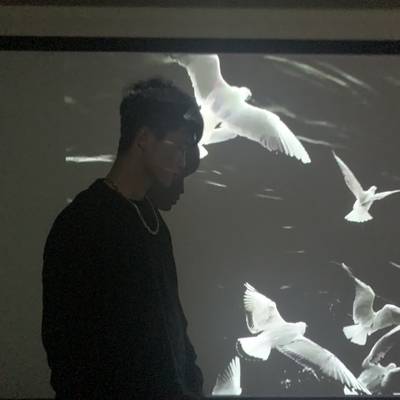黑白模特