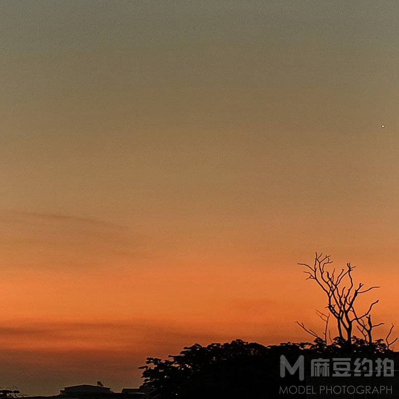 纪实模特