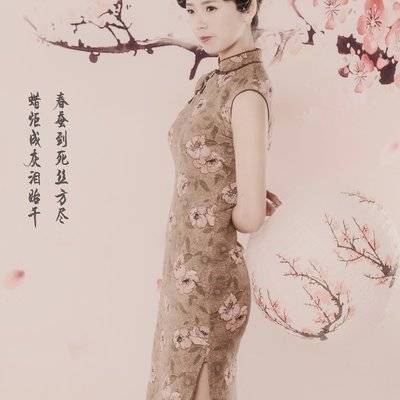 民国模特