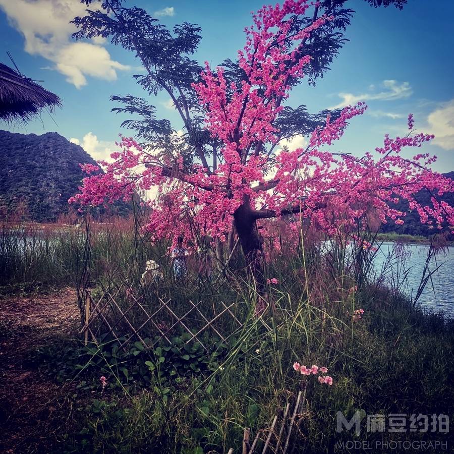 清新模特