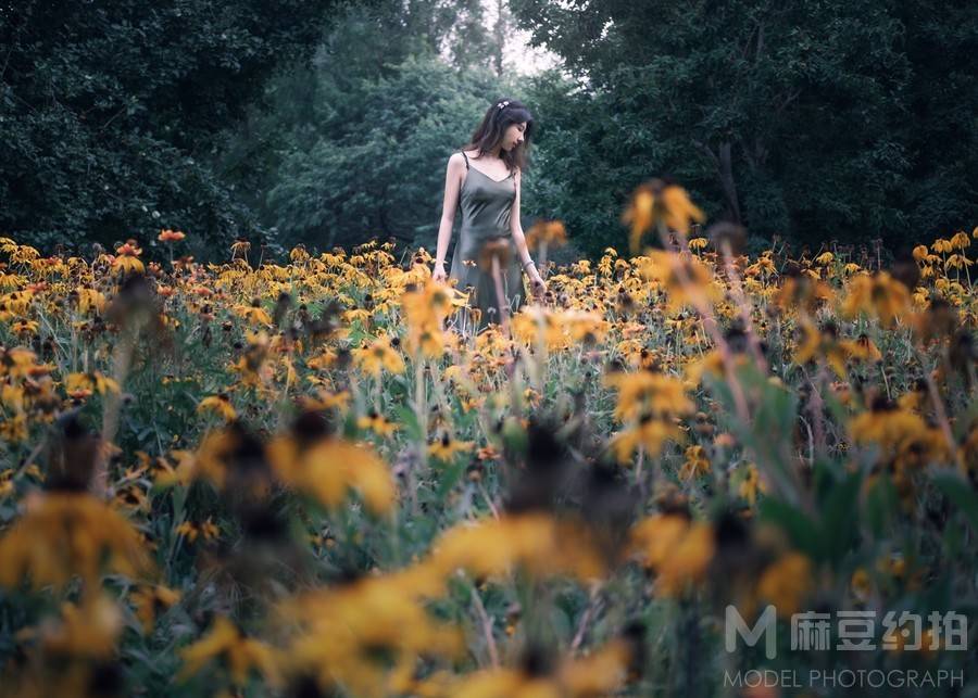 清新模特