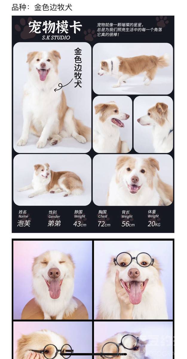 胶片模特