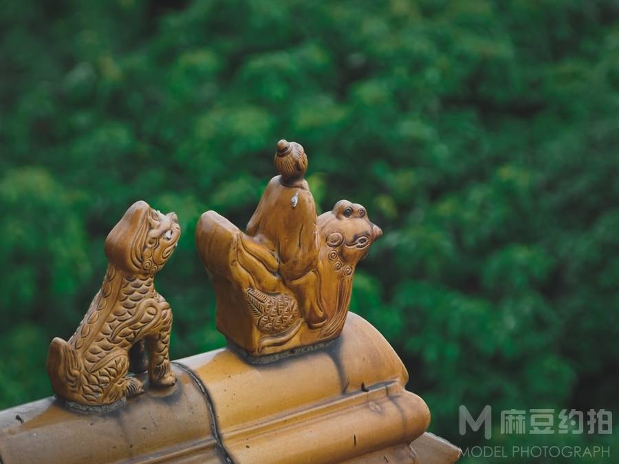 纪实模特