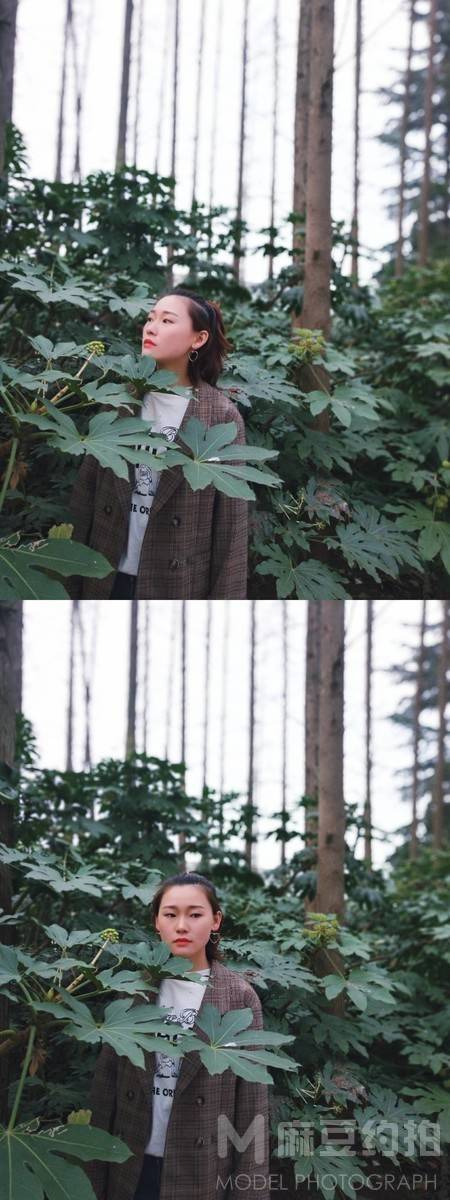 校园模特