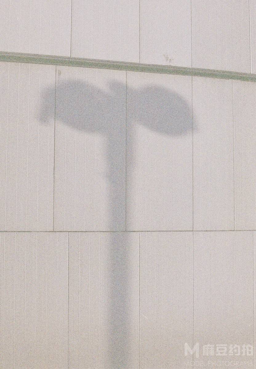 胶片模特