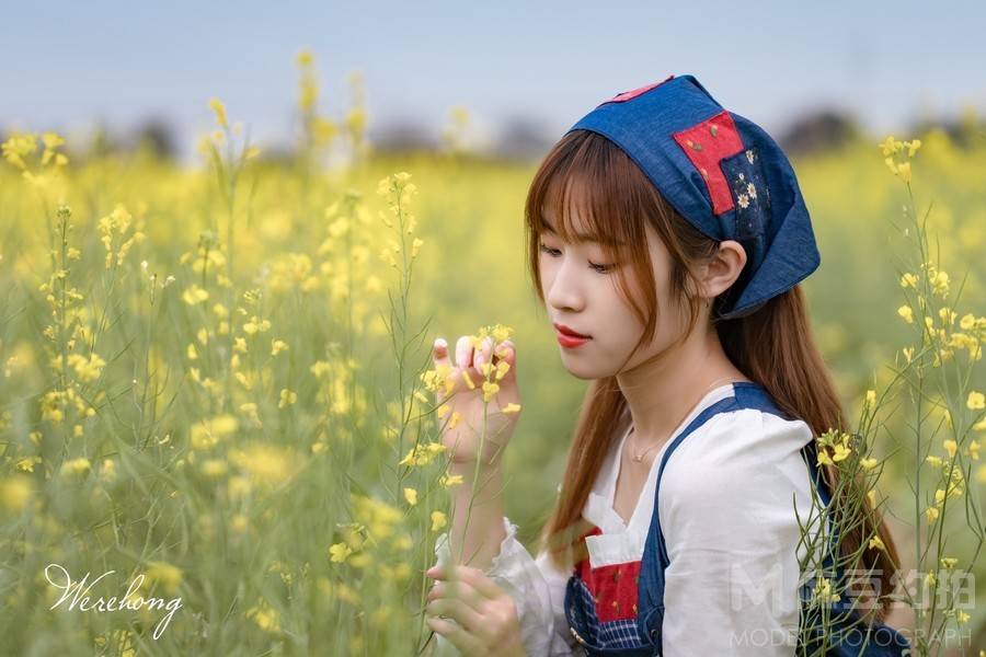 清新模特