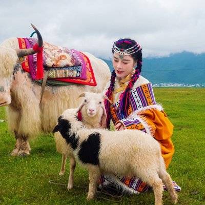 妆容模特