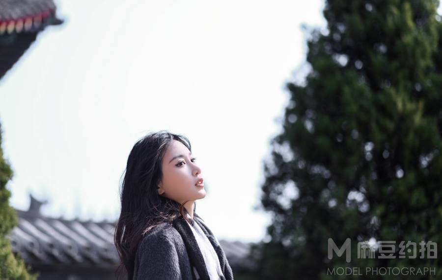 清新模特