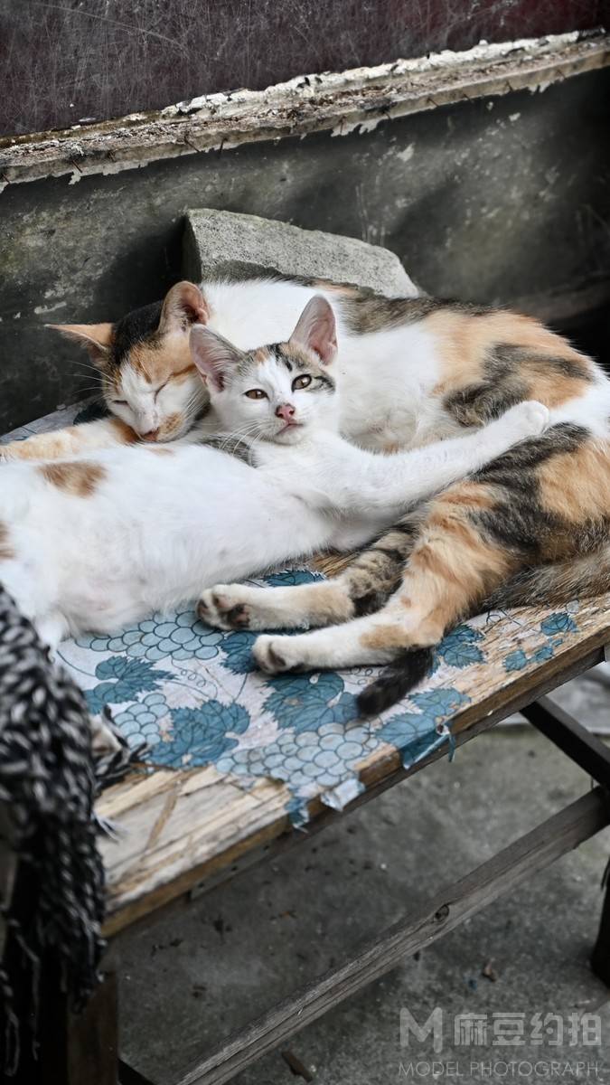 纪实模特