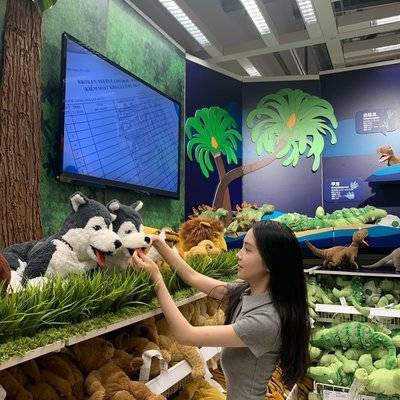 校园模特