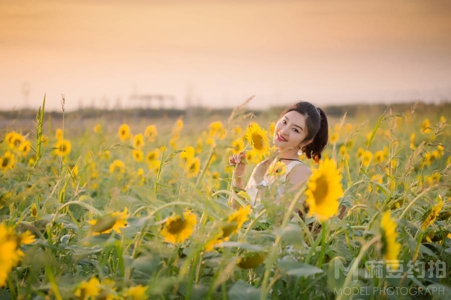 清新模特