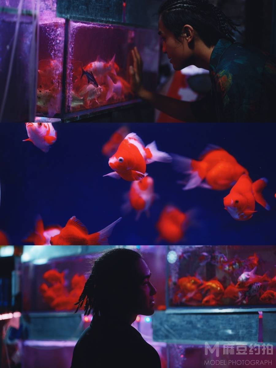 清新模特