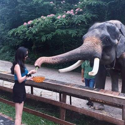 淘宝模特