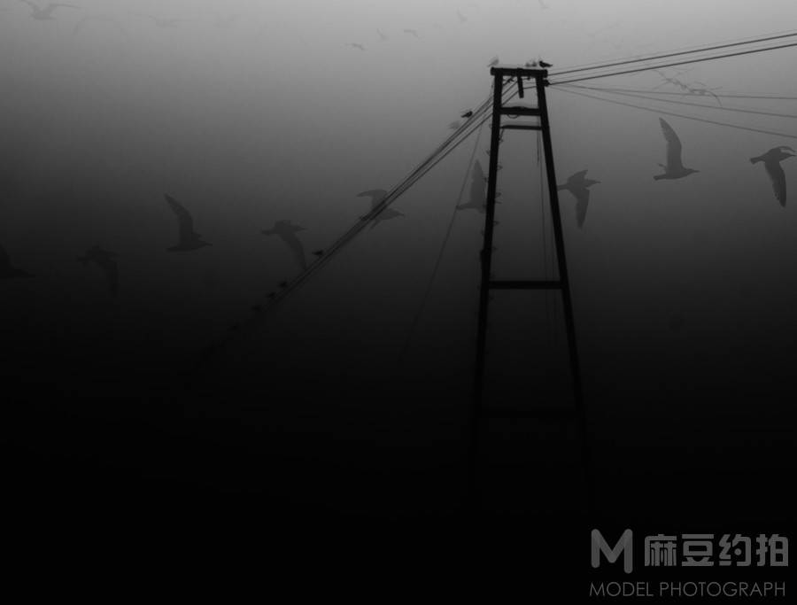纪实模特
