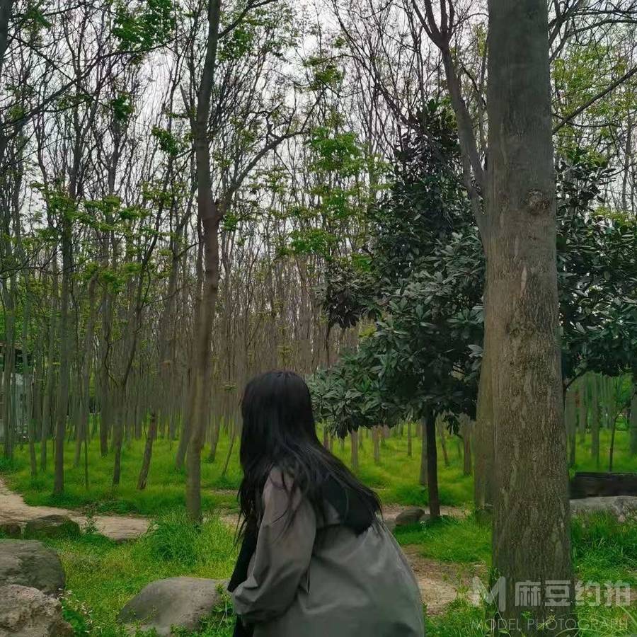 韩系模特