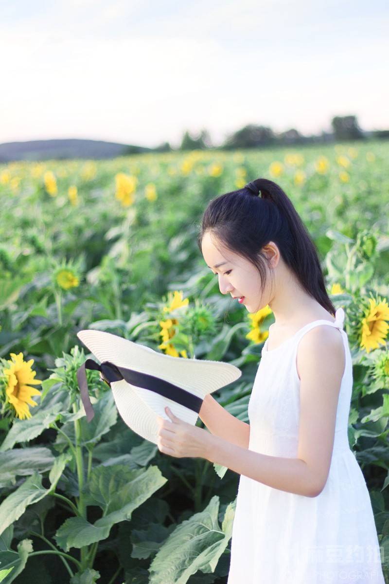 清新模特