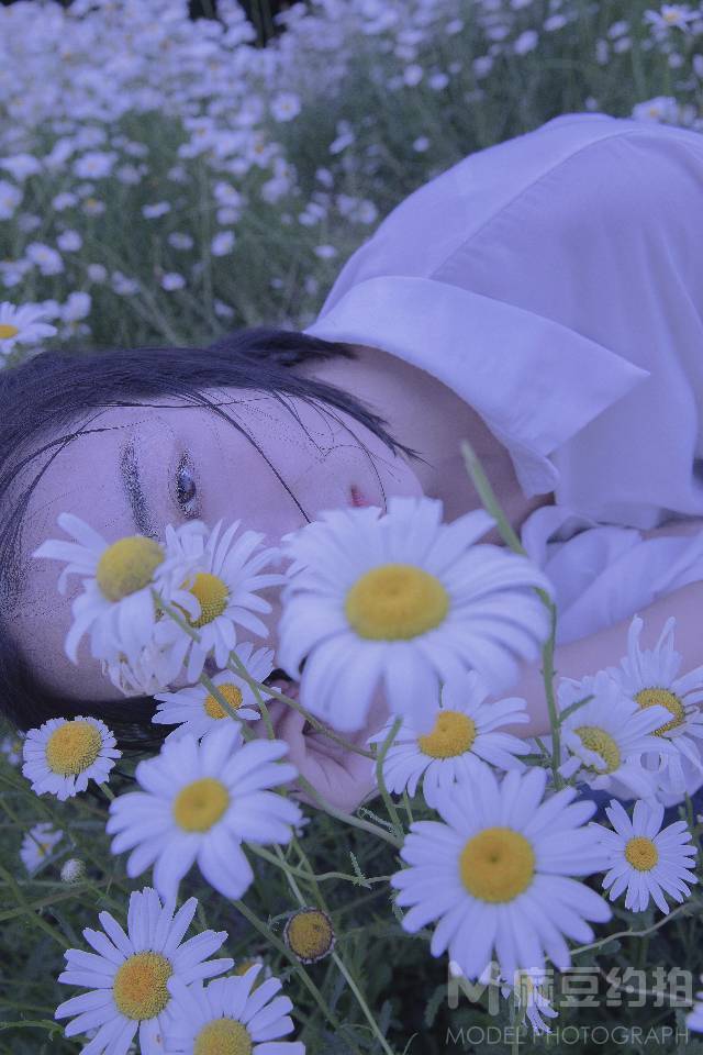 胶片模特