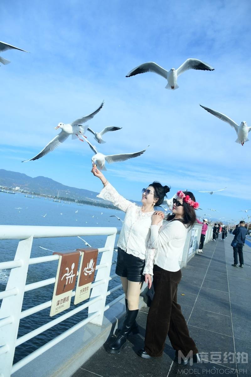 清新模特