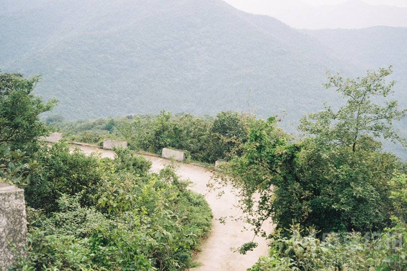 宝丽来模特