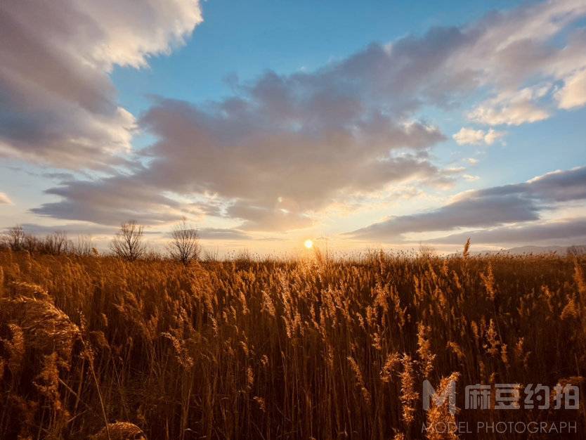 纪实模特
