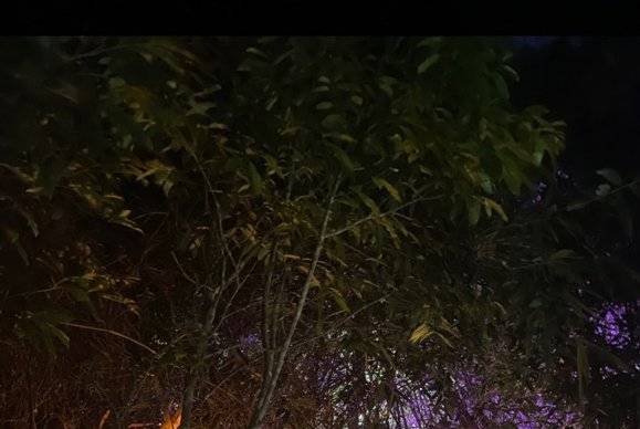 缆车山间哦