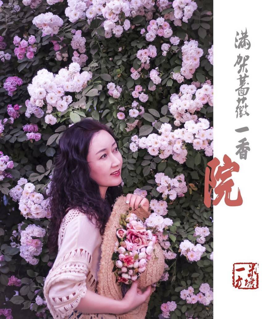 孕照模特