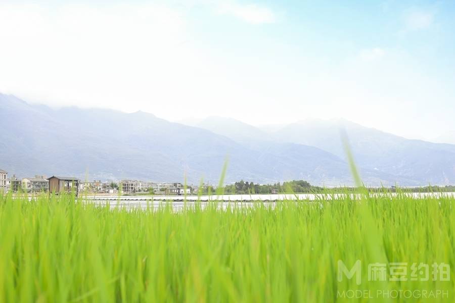 清新模特