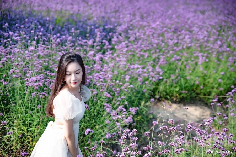 宝丽来模特