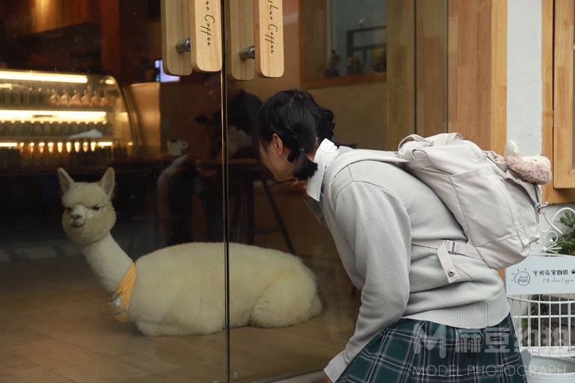 清新模特