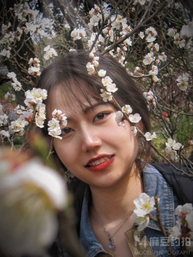 胶片模特