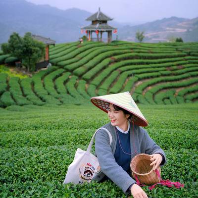 纪实模特