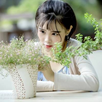 清新模特