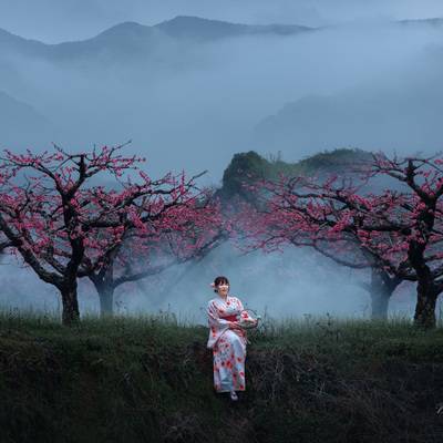 和服模特