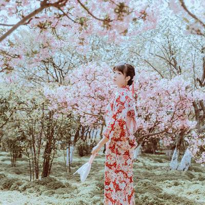 和服模特