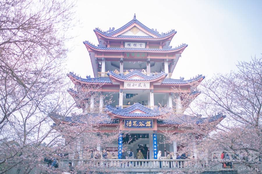 校园模特