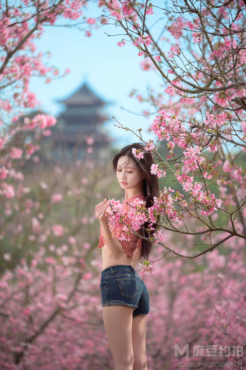 清新模特