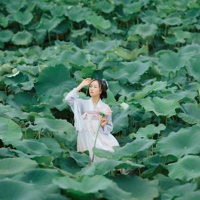古风模特
