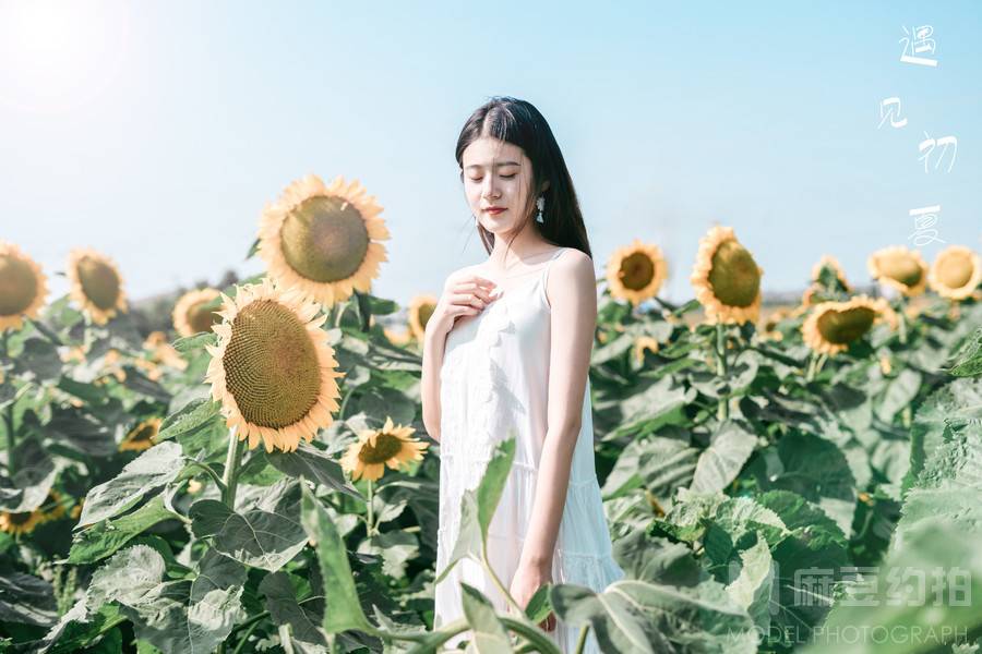 清新模特