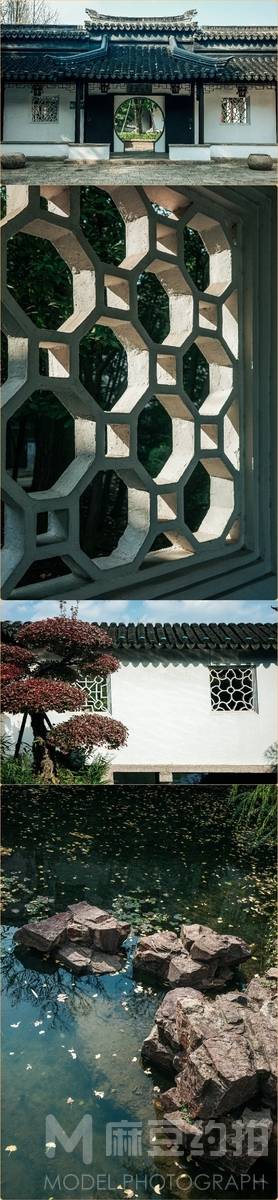 胶片模特
