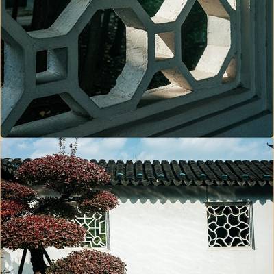 胶片模特