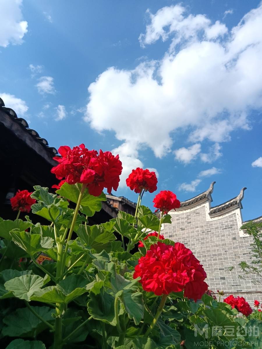 纪实模特