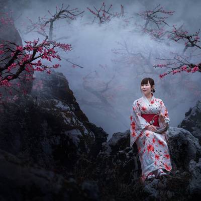 和服模特