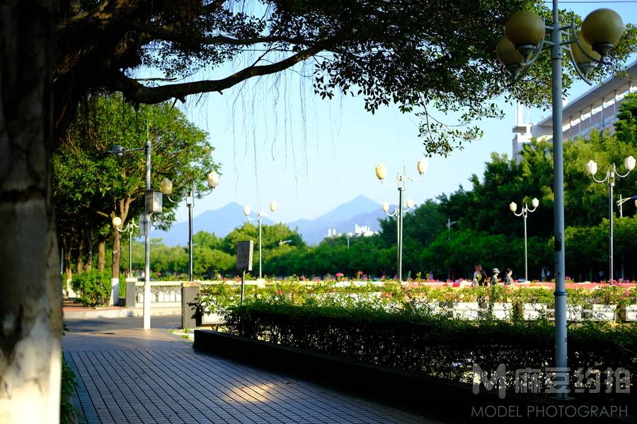 校园模特