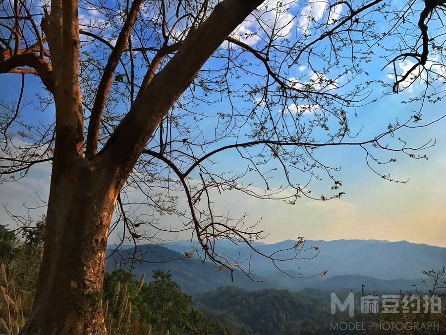 胶片模特